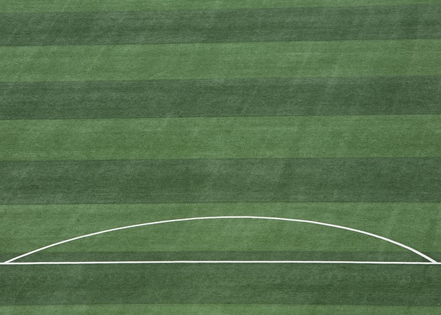 战战兢兢 战战兢兢