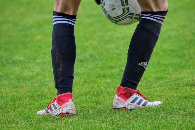 力的答案 力的答案