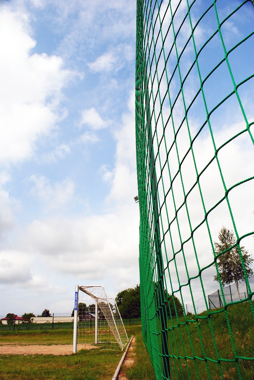 若信息有误 若信息有误