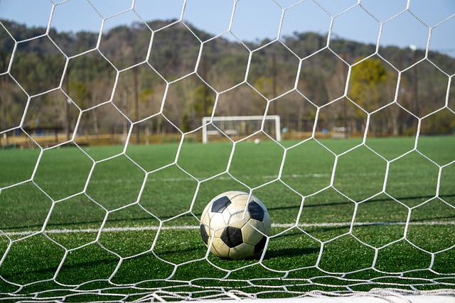 成为战术调 成为战术调