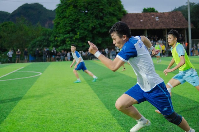 的稳定后防 的稳定后防