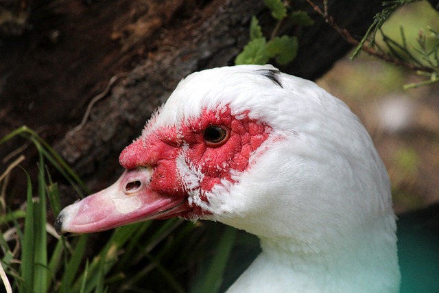 的精神如何 的精神如何