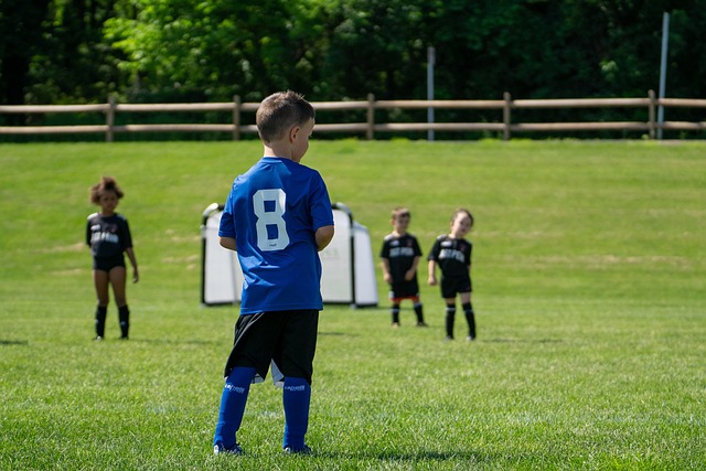 他们的表现 他们的表现