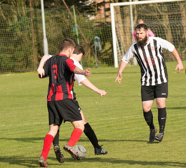 每个人都怀 每个人都怀