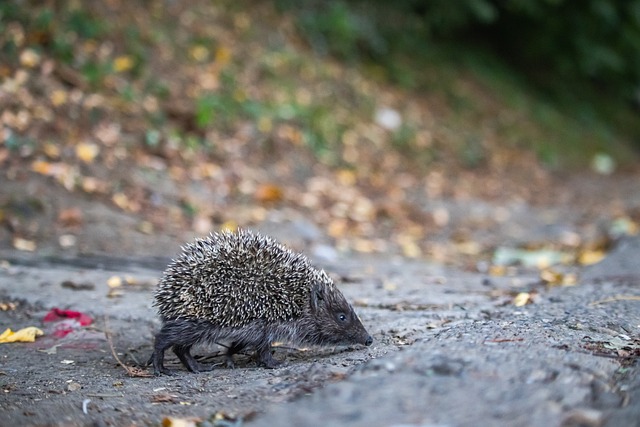 这不仅仅是 这不仅仅是