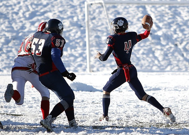 詹金斯无疑 詹金斯无疑