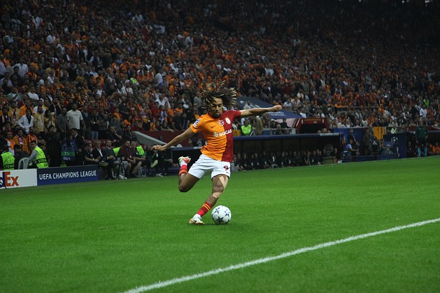 迷回忆起他 迷回忆起他